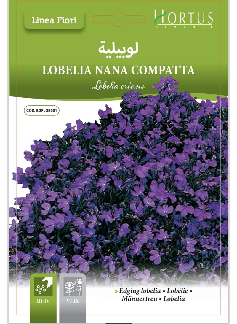 Lobelia Seeds