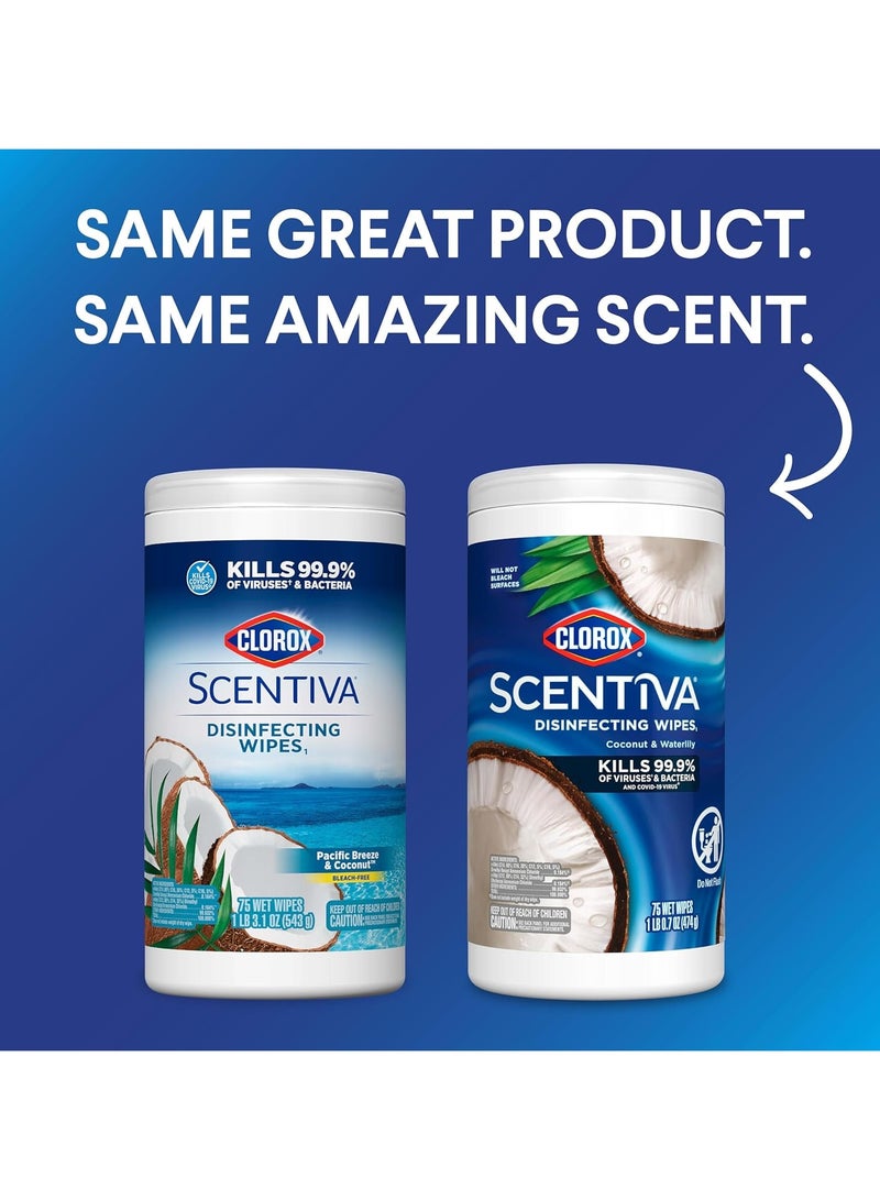 Clorox مناديل سكنتيفا المطهرة برائحة نسيم المحيط وجوز الهند خالية من المبيضات متعددة الأسطح - Image 2