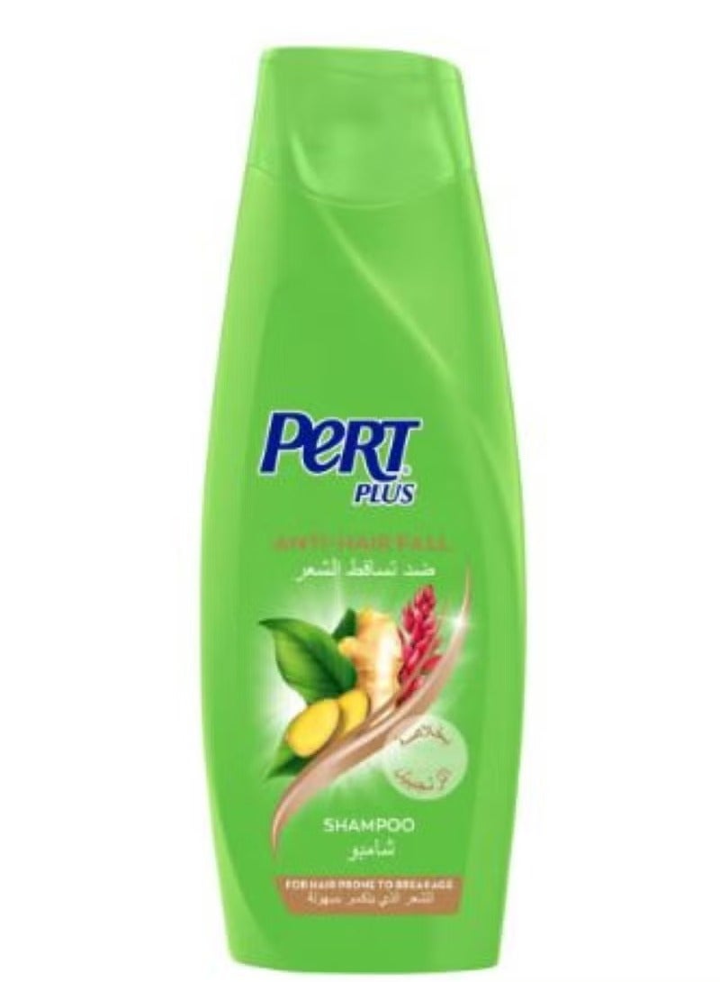 قطعتين شامبو بيرت بلس بخلاصة الزنجبيل 400 مل