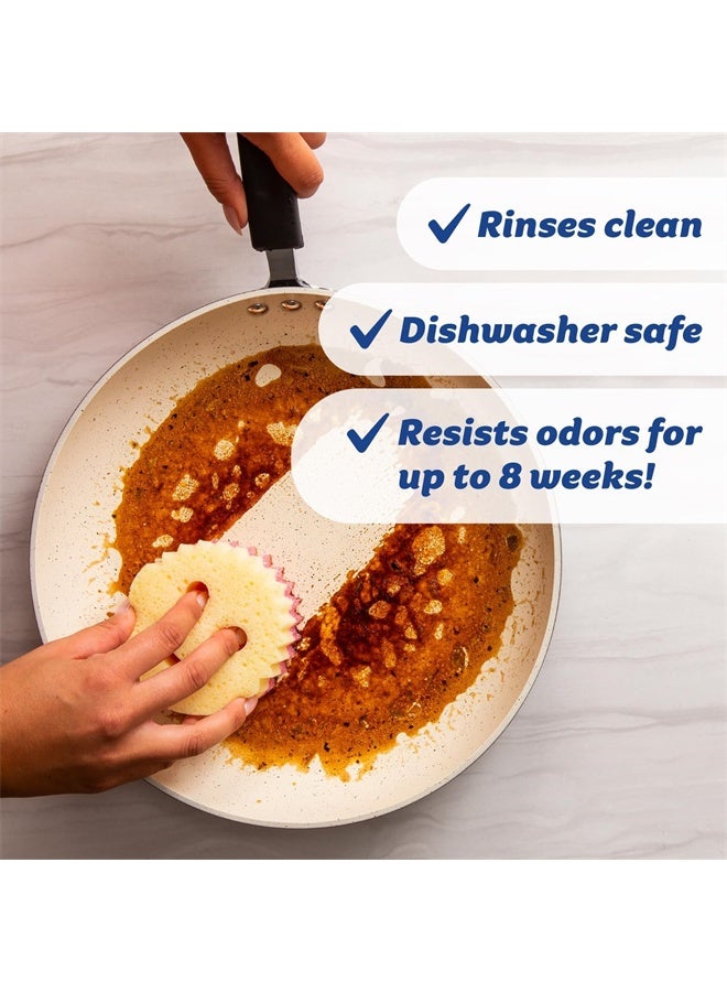HOMESTAR 3 Pcs Cleaning Sponge, Scratch-Free Multipurpose Dish Sponge, BPA Free, Made with Polymer Foam, Stain and Odor Resistant - Image 5