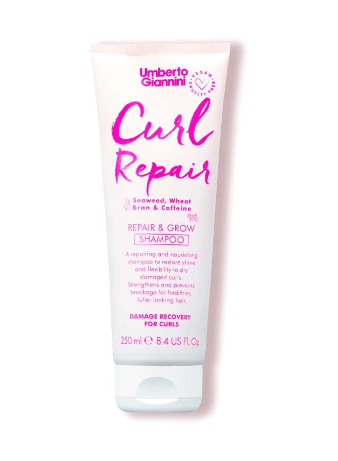 Umberto Giannini Curl Repair Shampoo 250ml – Damage Recovery for Frizz-Prone Curls, Sea Salt & Seaweed, Strengthening Wash for Split End Relief 250ml - Image 1
