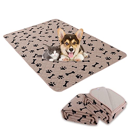 Dog Crate Pee Pads  Wahable Dog Rugs NonSlip Puppy Pads for Small Dogs Water Absorb Training Pads 80 x 60 Beige 1 Pack