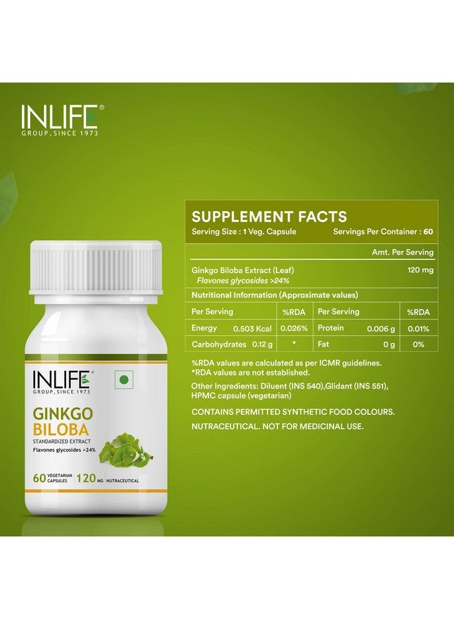 INLIFE Ginkgo Biloba Extract Capsules 120mg | Herbal Supplement | Memory Support - 60 Vegetarian Capsules (Pack of 1, 60) - Image 2