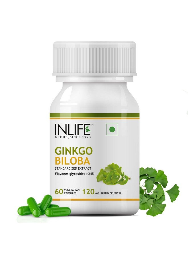 INLIFE Ginkgo Biloba Extract Capsules 120mg | Herbal Supplement | Memory Support - 60 Vegetarian Capsules (Pack of 1, 60) - Image 1