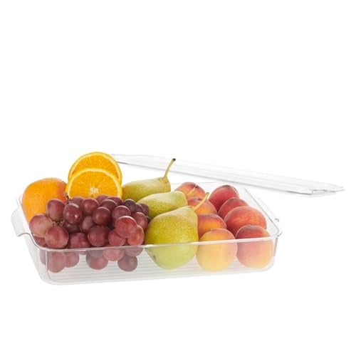 SCL Steelo Steelo Sofresh Small Organiser Plastic Container Kitchen, Air Tight Container Set Fridge safe US FDA Approved PET Food Grade Heavy Duty Material, BPA Free (2700 ml, Pack of 1) - Image 1