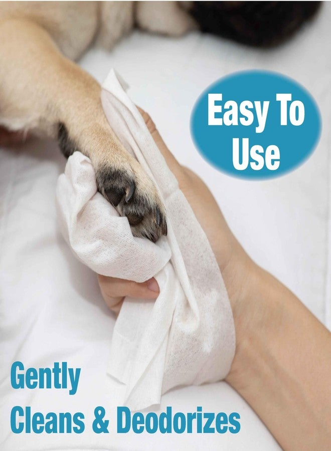 كادلي عبوة من 110 مناديل لتنظيف الحيوانات الأليفة - أحجام كبيرة وكبيرة جدًا - برائحة اللافندر والصبار وبدون رائحة - مضادة للحساسية ومتينة للغاية - مثالية للكلاب والقطط، 6 × 8 بوصات - Image 5