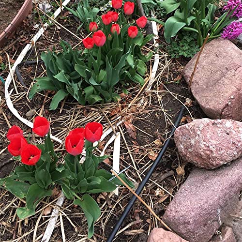 Blumat Drip Irrigation Parts - 8mm Watering Supply Tube for Drip Irrigation System - Flexible and Durable Tubing - 32.8-Ft(10m) - Image 5
