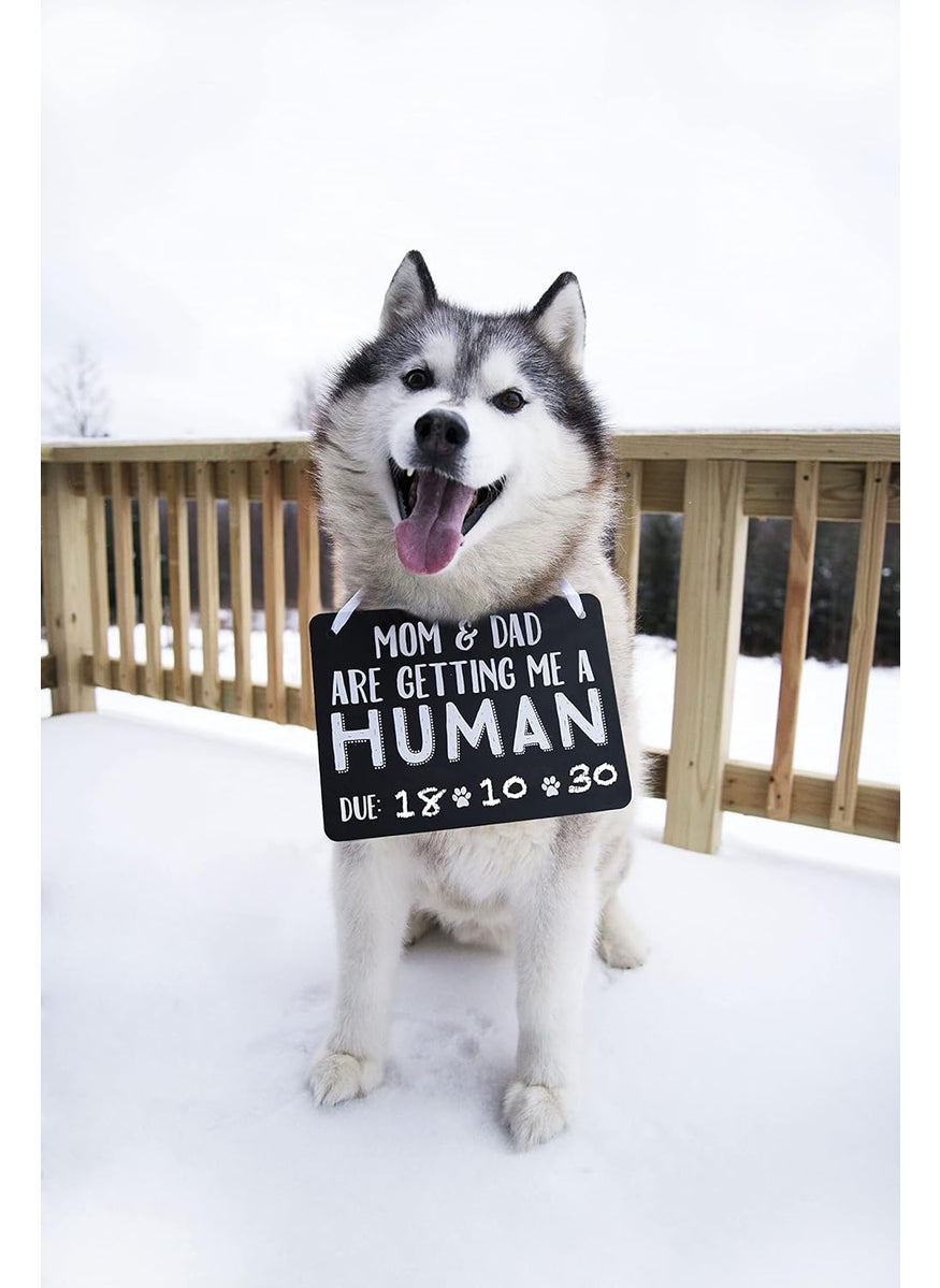 pearhead Pearhead Pets Baby Announcement Chalkboard Photo Prop Sign Mom  Dad Are Getting Me A Human Chalkboard Pregnancy Announcement Sign Dog Or Cat Announcement Board  - Image 4