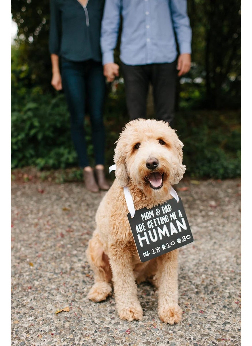 pearhead Pearhead Pets Baby Announcement Chalkboard Photo Prop Sign Mom  Dad Are Getting Me A Human Chalkboard Pregnancy Announcement Sign Dog Or Cat Announcement Board  - Image 2
