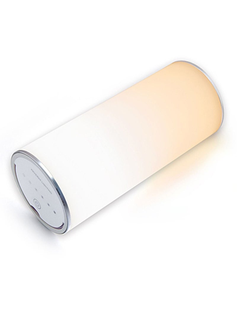 ESKY Reverse Lamp Portable Led Lamp Rechargeable Battery Lamp with USB Outdoor Wireless Light with Handle Warm and Cool Light Brightness Adjustment Function Modern Design - Image 1