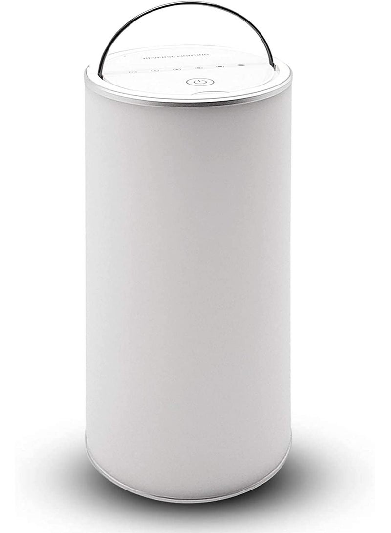 ESKY Reverse Lamp Portable Led Lamp Rechargeable Battery Lamp with USB Outdoor Wireless Light with Handle Warm and Cool Light Brightness Adjustment Function Modern Design - Image 2