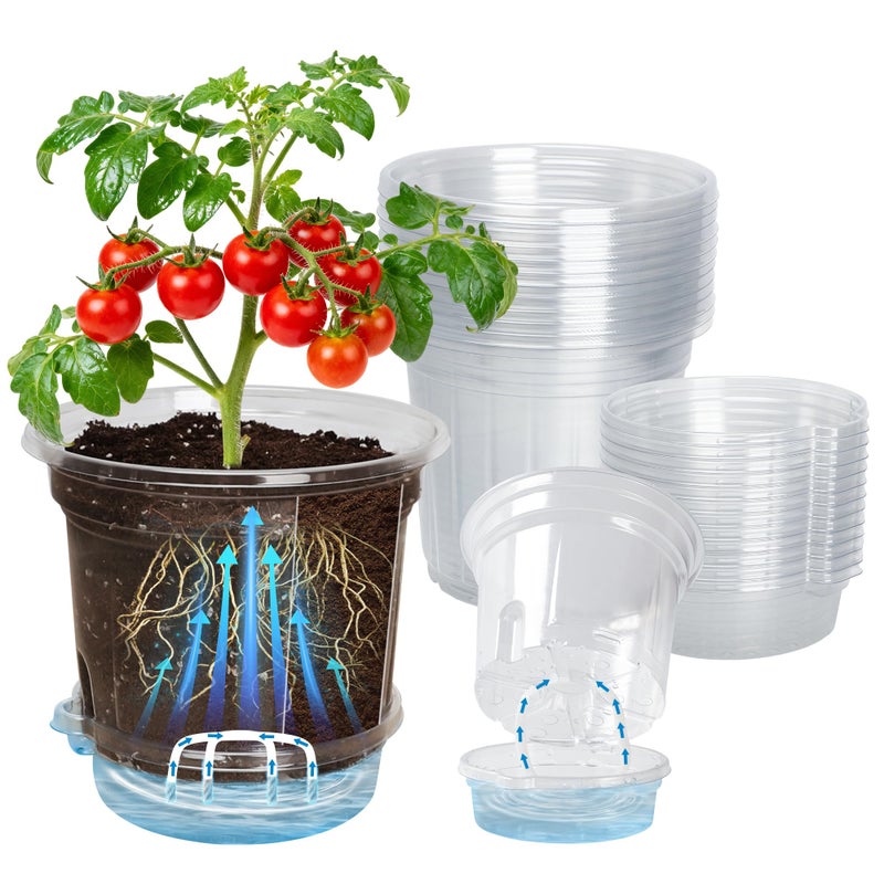 Bluepro 12 Pack 6.5 Inch Clear Self Watering Plant Pots with Bottom Water Tray & Watering Rope, Transparent Nursery Pots with Drainage for Seedlings, Herbs, and Houseplants - Image 1