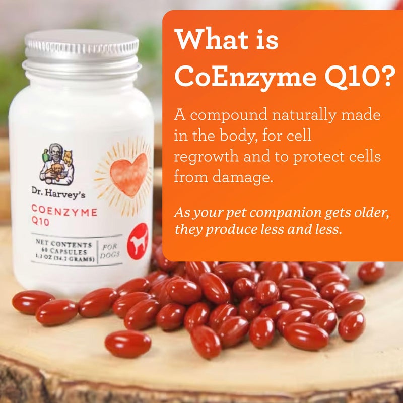 Dr. Harvey's Coenzyme Q10 - Heart & Cardiovascular Support Supplements for Dogs, 60 Capsules - Image 2