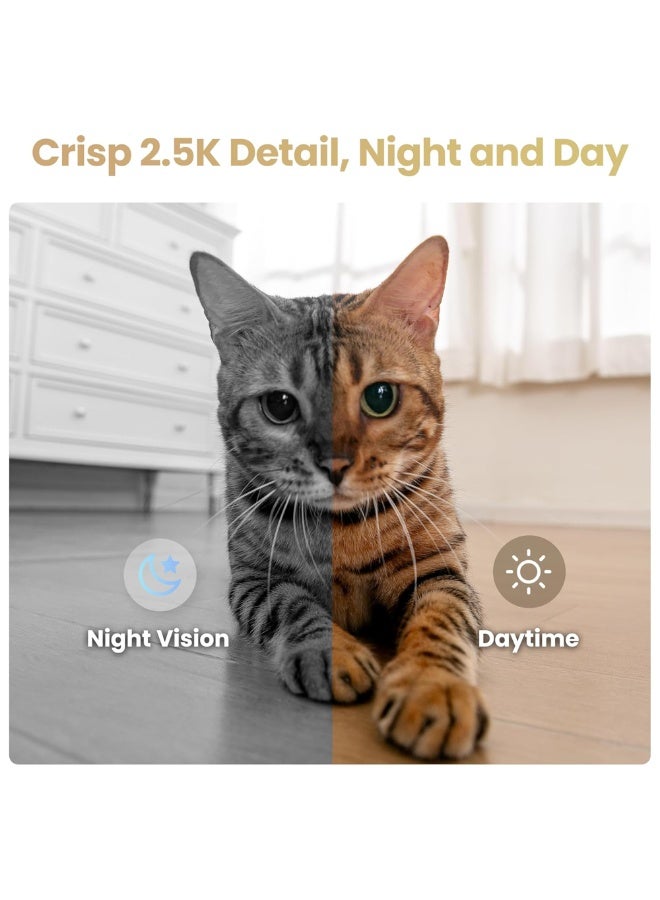 Enabot EBO Air 2S FamilyBot Home Robot Camera. 2.5K Indoor Pet Cam, Movable Robot Camera, 2-Way Video, Auto-Recharge, Long Battery Life, Custom Facial Image, Night Vision - Image 4