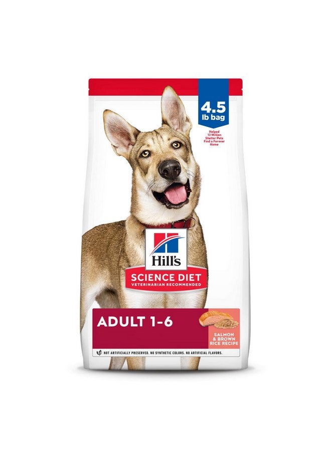 هيل طعام الكلاب الجاف من Hill's Science Diet للبالغين من عمر 1 إلى 6 سنوات، طعام الكلاب الجاف Premium Nutrition للبالغين من عمر 1 إلى 6 سنوات، سمك السلمون والأرز البني، كيس 4.5 رطل - Image 1