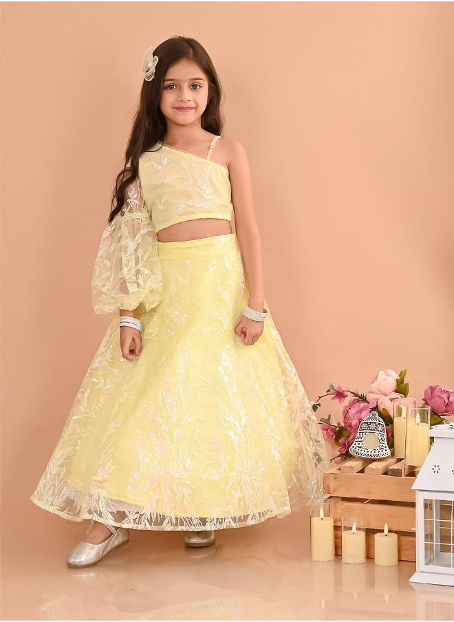 Girls Lehenga Choli Set - pzsku/ZD55534BDBB703E78C268Z/45/_/1725541883/bd4b2cea-03db-4967-9dfd-fd114de3557c