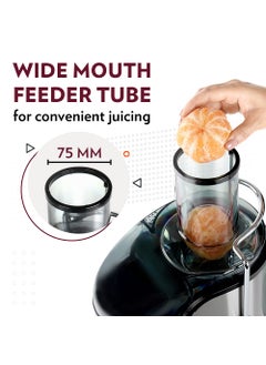 BOROSIL Borosil Primus Plus Juicer 800 W Stainless Steel Centrifugal Juicer 11 L Juice Jug 75 mm Feed Chute Black  - Image 4