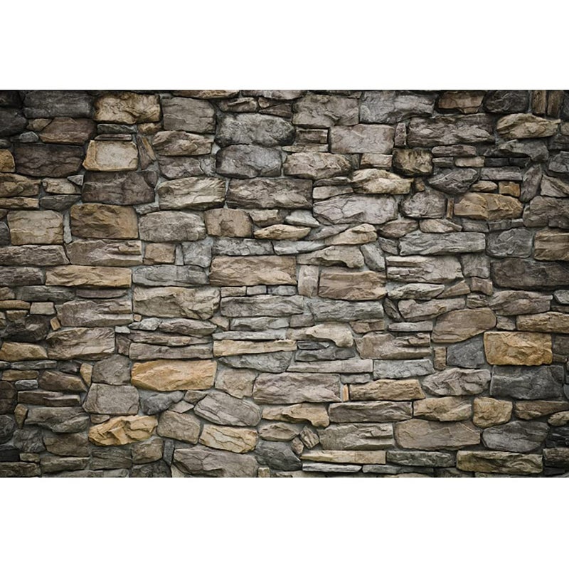 Laeacco 12x8FT Vintage Stone Brick Wall Backdrop Grunge Rock Stone Texture Retro Rustic Countryside Photography Background Party Banner Newborn Baby Kids Boys Adults Portrait Photo Shooting Props