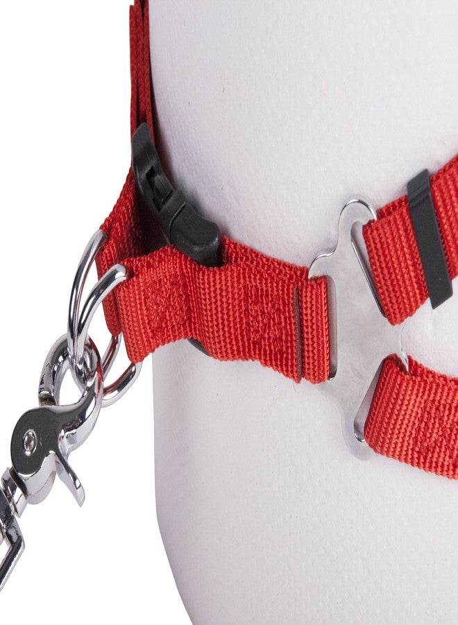 GOGO Pet Products Comfy Nylon 3/8-Inch Adjustable Easy Pet Harness, X-Small, Red - Image 5