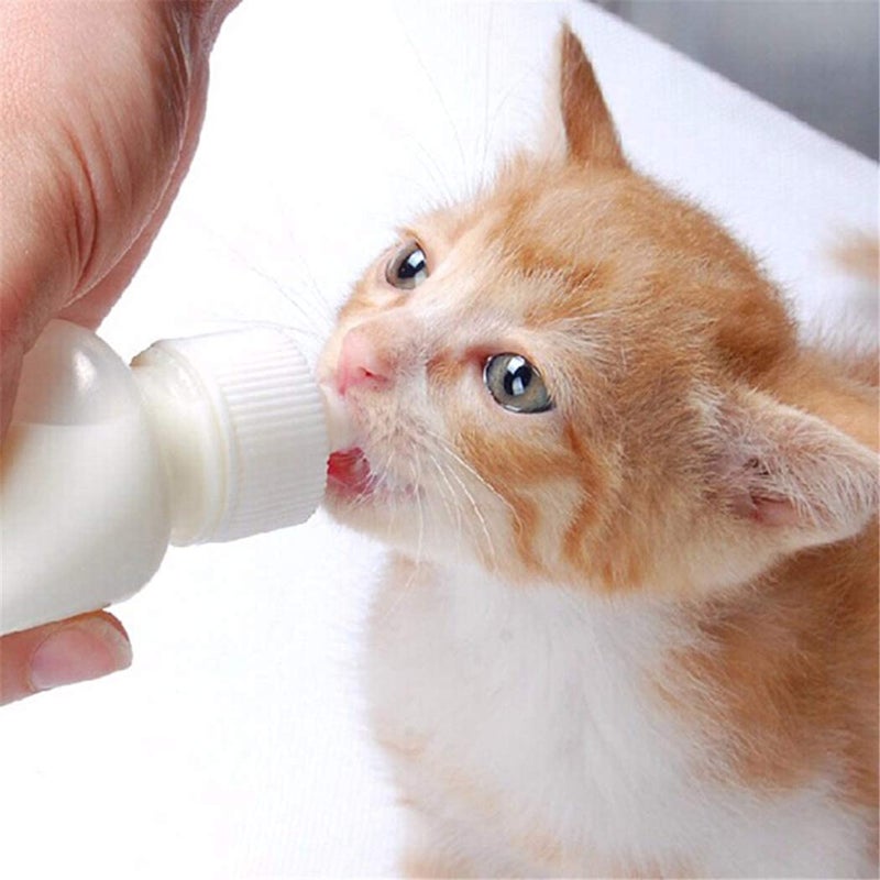 Xuanda Pet Feeding Bottle and Syringes with Nipples for Small Cat Dog Animals (Model 1) - Image 3
