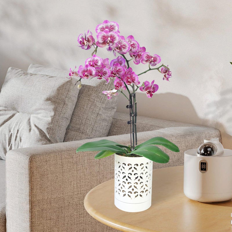 pavtner Orchid Pots with Holes,4 Inch Ceramic Orchid Pot for Repotting, Flower Planter Pot Indoor Outdoor, Breathable Slotted Orchids Planter White - Image 4