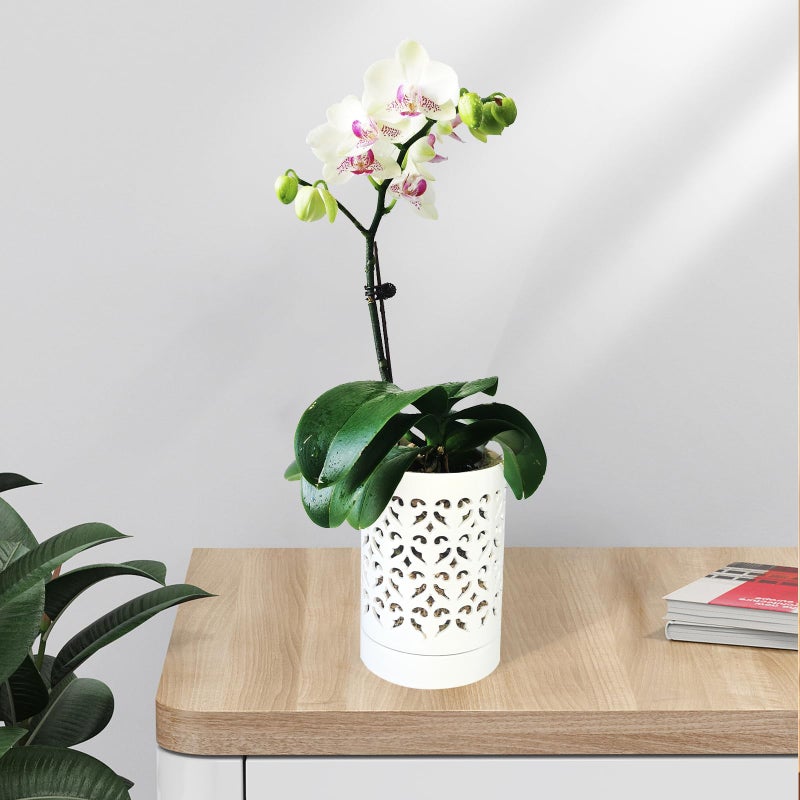 pavtner Orchid Pots with Holes,4 Inch Ceramic Orchid Pot for Repotting, Flower Planter Pot Indoor Outdoor, Breathable Slotted Orchids Planter White - Image 5