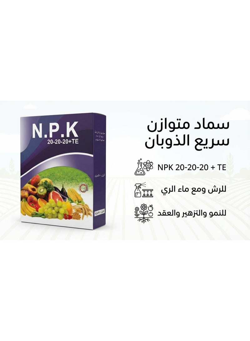 إن بي كيه كوليكشن سماد متوازن TE 500 غرام - سماد ورقي متعدد الاستخدامات للحدائق المنزلية مع مغذيات دقيقة و6% كبريت - غذاء نباتي متعدد الأغراض - Image 3
