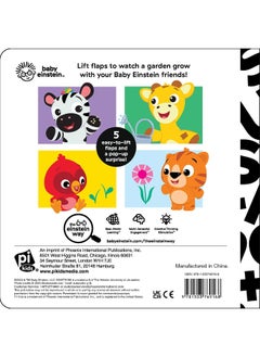Baby Einstein: Discover a Garden Lift & Pop  - Image 2