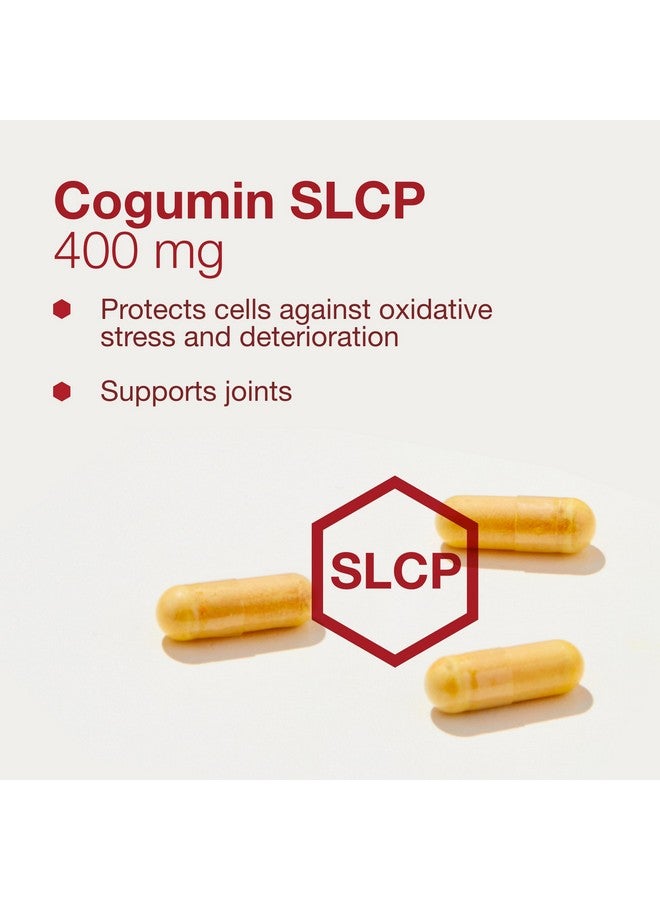 بروتوكول فور لايف بلانس بروتوكول Cogumin SLCP 400mg الكركمين - دعم عصبي* - مع مستخلص الكركم لونجا - مكمل غذائي لدعم الإدراك* - نباتي وغير معدّل وراثيًا - 50 كبسولة نباتية - Image 4