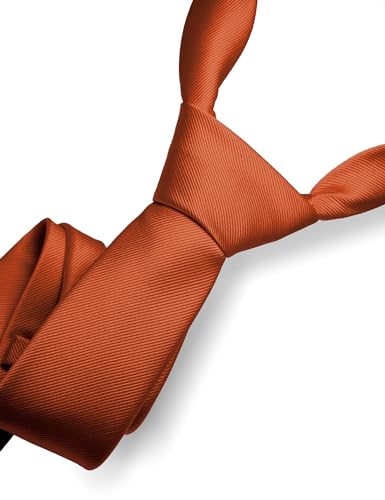 RBOCOTT Rust Tie Formal Silk Necktie for Men (Rust) - Image 2