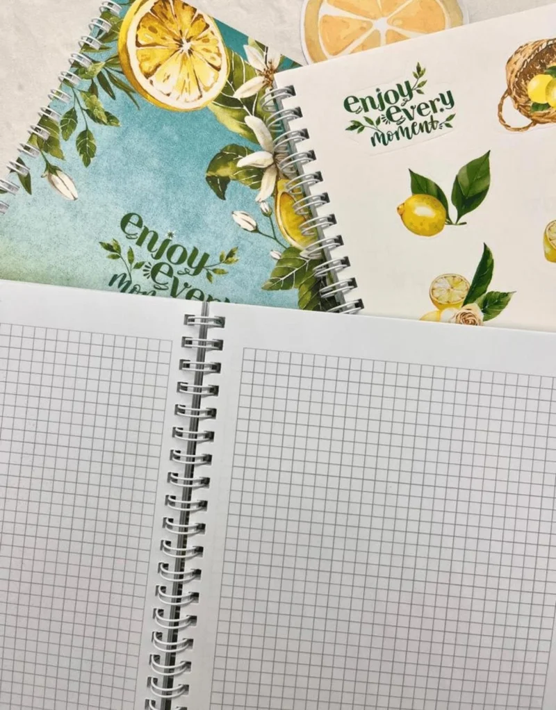 كاغيت جيمي دوكان Paper Ship Shop Checkered Lemon Flower Spiral Notebook with Single Sheet Stickers