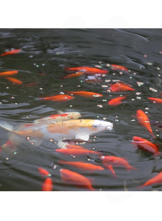 JBL Pro Pond All Seasons Pearls Floating - 5.8 KG - Image 3