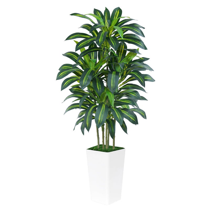 Keeplush 6FT Artificial Dracaena Tree - High-Density Foliage Fake Plant with White Tall Planter - Faux Yucca Floor Plant for Home Office Decor Indoor - Image 2
