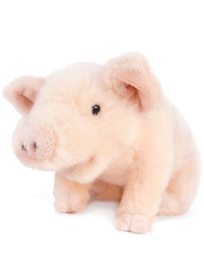 Perla The Pig - 10 Inch Stuffed Animal Plush Piglet - By Tigerhart Toys - pzsku/ZD55DD2088A5AA5A9BFCCZ/45/_/1732773879/8ca01c92-af6d-4aa6-8469-4212cb0f0bb6