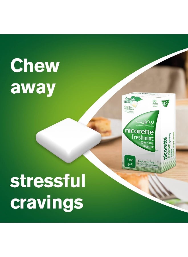 نيكوريت علكة نيكوريت بالنيكوتين 4 ملغ، بنكهة النعناع المنعش، خالية من السكر، تساعد على الإقلاع عن التدخين - 30 قطعة - Image 2