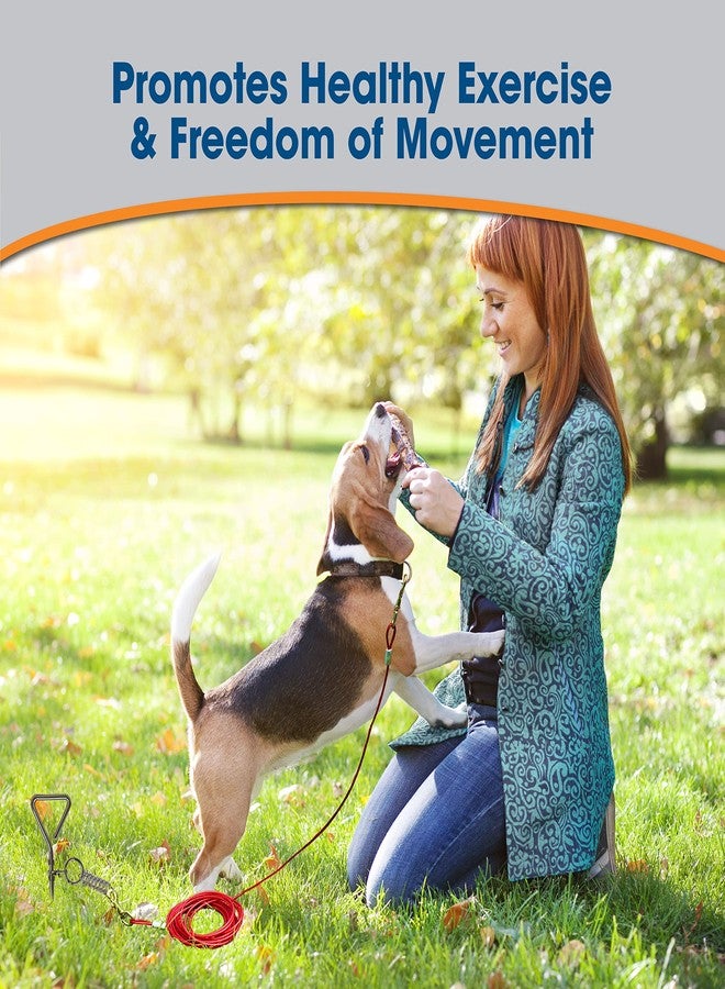 فور باوز وتد حلزوني للكلاب من فور باوز ووك أباوت مع كابل بطول 15 قدمًا - Image 3