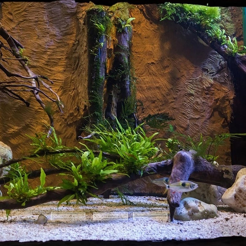 5-Hole Acrylic Shrimp Hideout Fish Tank Cave Aquarium Decoration Shelter for Shrimp Breeding and Small Fish Habitat - Image 5