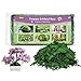 Riare Riare 21OZ Artificial Fake Moss for Fake Plants Indoor- Premium Faux Moss for Potted Plants Indoor, Faux Green Moss for  - Image 2