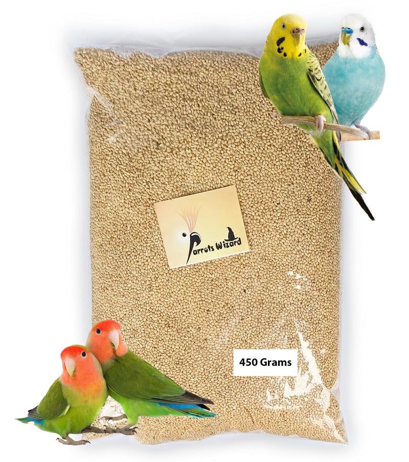 Parrots Wizard بذور طائر الببغاء - فوكستيل ميلت (كانغني)، طعام الطيور لجميع مراحل الحياة: الكناري، والحنش، والواكبيل، والبودجي، والطيور المحبة، والكاكاتيل، والببغاوات والباراكيت، 450 جرام - Image 1