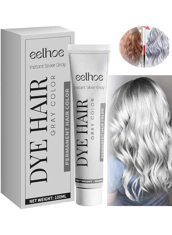 EELHOE Silver Gray Natural Hair Dye Cream, Hair Dye Light Gray Silver Color Cream, Gray Silver Color Cream, Grey Permanent Hair Dye, Silver Gray Natural Hair Color Cream, Silver Hair Dye, 100ML - Image 1