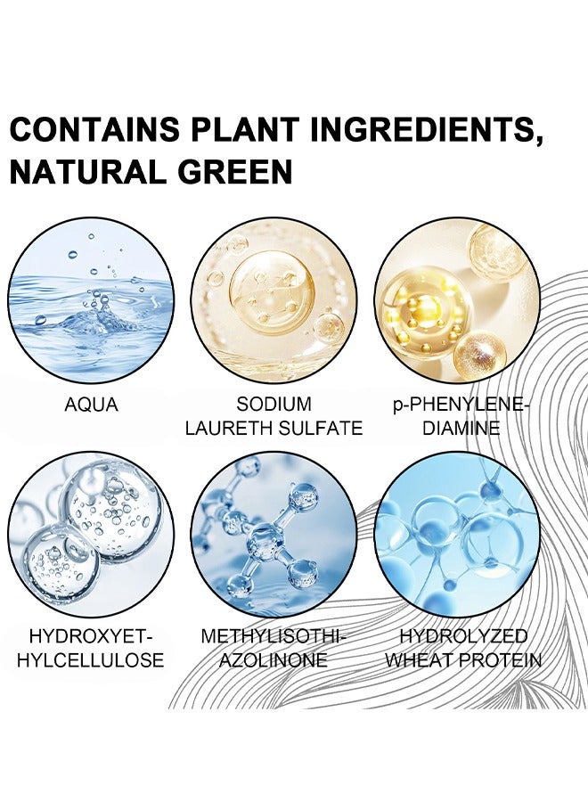 EELHOE Silver Gray Natural Hair Dye Cream, Hair Dye Light Gray Silver Color Cream, Gray Silver Color Cream, Grey Permanent Hair Dye, Silver Gray Natural Hair Color Cream, Silver Hair Dye, 100ML - Image 2