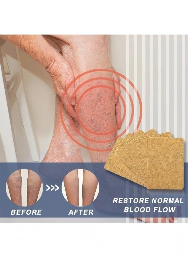 Flushy Varicose Veins Patch, Chinese Herbal Varicose Veins Patch for Treatment Leg Pain, Foot Care for Strengthen Capillary Health - Image 5