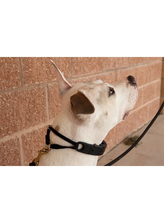 StarMark Pro-Training Dog Collar Large - Image 3