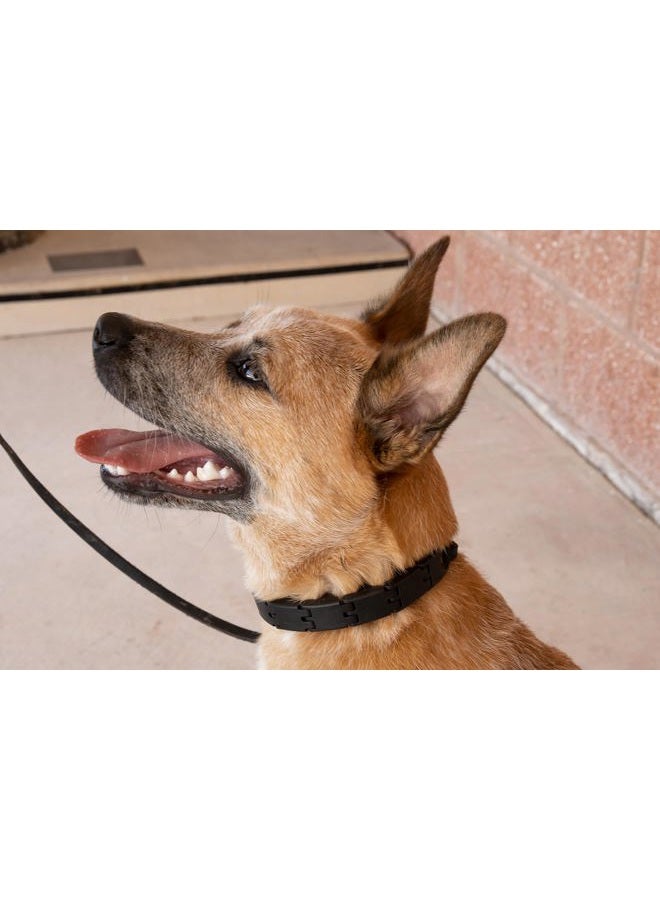 StarMark Pro-Training Dog Collar Large - Image 4