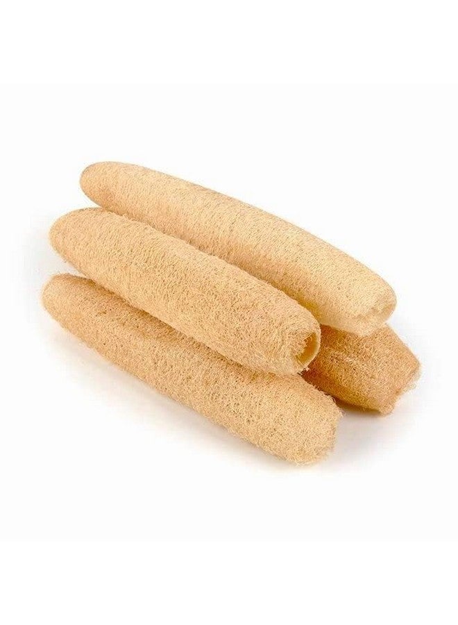 eVasavamba Natural Loofah Bath Scrub | Organic Ridge Gourd | Sun Dried Peerkangai Bath Scrub | Beerakaya | Hirekai | Soft and Gentle Body Scrubber, Soothing Body Exfoliater | Biodegradable and Eco-friendly Natural Scrubber | A++ Grade | Avg. Height: 7" - 12" | Avg. Width: 2.5" - 3", Pack of 4 - Image 1