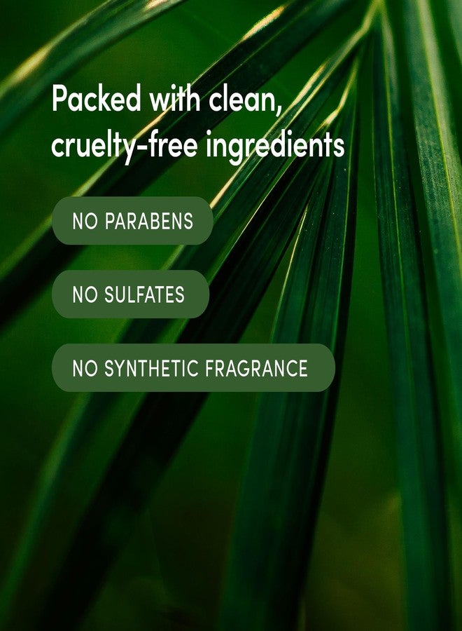 لاذر - مرطب للجسم بكريم الخيزران، 240 مل - لوشن مرطب يومي للجسم - زيوت أساسية وفيتامينات - زبدة الشيا، زيت الأفوكادو، الصبار، والبابونج - نباتي ولم يُختبر على الحيوانات - منتجات التجميل والعناية بالبشرة - Image 4