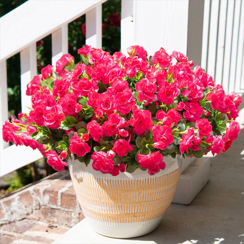 HyeFlora Artificial Faux Outdoor Flowers Plants for Spring Summer Decoration, Fake Silk Hotpink Camellia UV Resistant Look Real for Planter Outside Front Door Porch Patio Balcony, 3 Large Bundles - Image 1