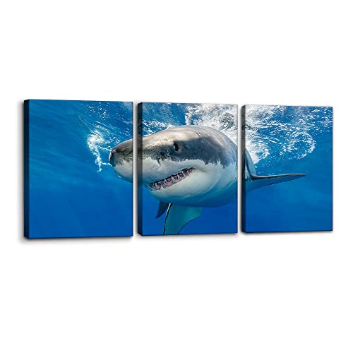 Pacimo 3 Piece Blue Wall Art Painting Great White Shark Catching Fish At Guadalupe Island Pictures Prints on Canvas Animal The Picture Decor for Home Modern Decoration for Living Room - 12" x 16" x 3 - Image 1