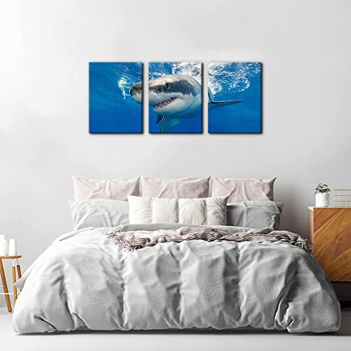 Pacimo 3 Piece Blue Wall Art Painting Great White Shark Catching Fish At Guadalupe Island Pictures Prints on Canvas Animal The Picture Decor for Home Modern Decoration for Living Room - 12" x 16" x 3 - Image 3