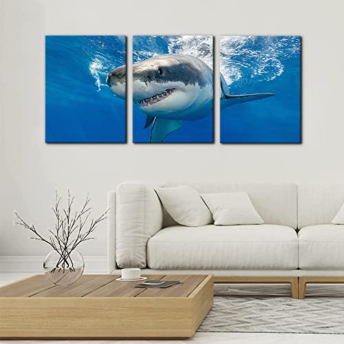 Pacimo 3 Piece Blue Wall Art Painting Great White Shark Catching Fish At Guadalupe Island Pictures Prints on Canvas Animal The Picture Decor for Home Modern Decoration for Living Room - 12" x 16" x 3 - Image 2